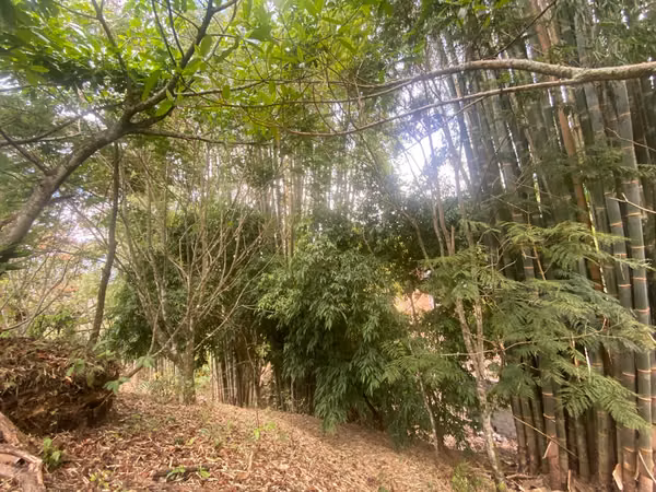 EXCELENTE OPORTUNIDAD TERRENO DE 4200m² EN CARRIZAL DE ESCAZÚ