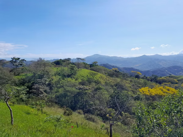 Lote edificable de 1500 m² con vista al mar (1226)