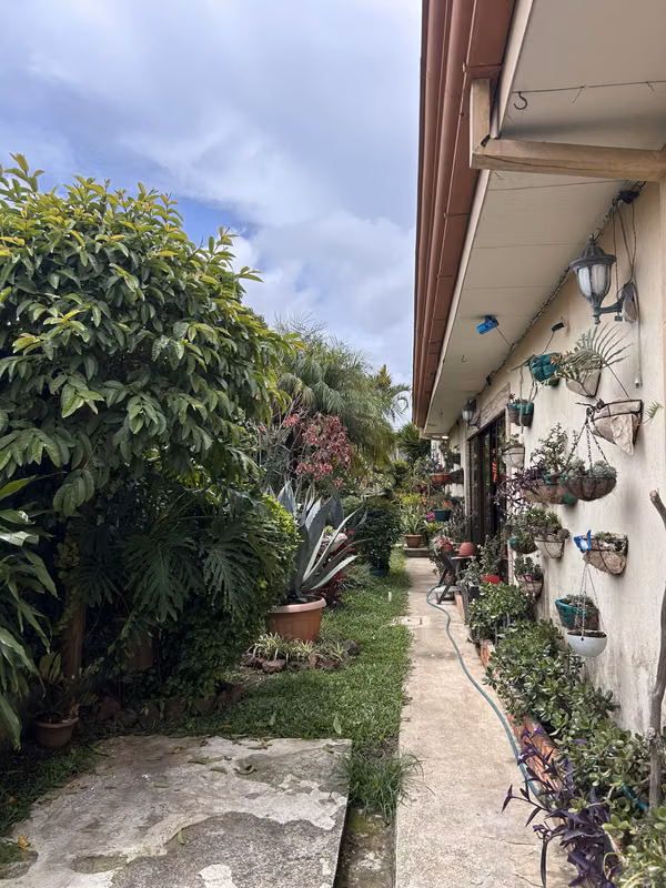 Casa de 1 planta uso de suelo mixto