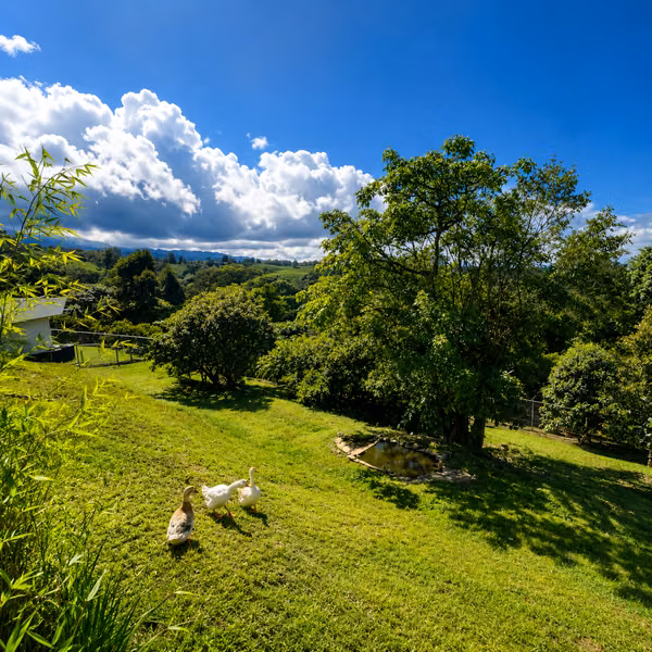 Exclusiva residencia de montaña con piscina y vistas panorámicas en Coronado, Costa Rica