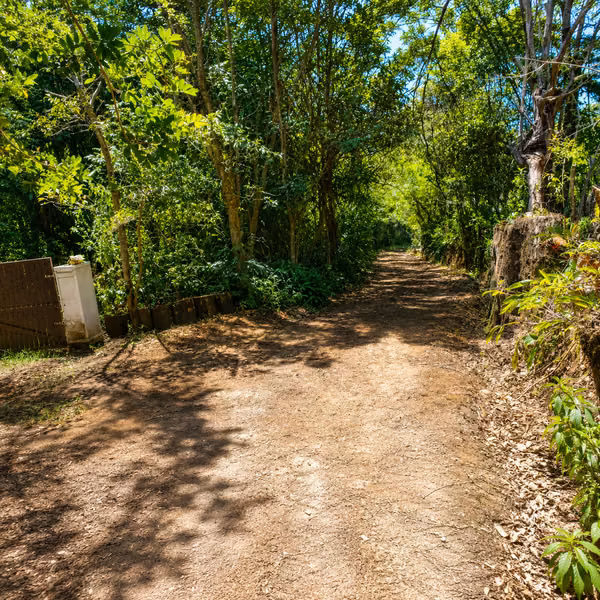 Se vende finca de más de 1 hectárea en San Rafael de Heredia, rodeada de naturaleza