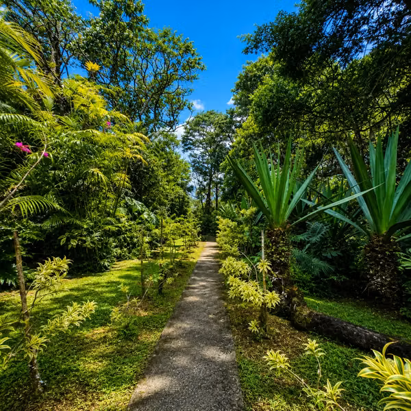 Se vende finca de 5,3 hectáreas en El Guarco, Cartago | Cabaña, rancho y vistas a la montaña
