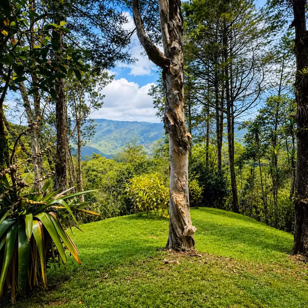Se vende finca de 5,3 hectáreas en El Guarco, Cartago | Cabaña, rancho y vistas a la montaña