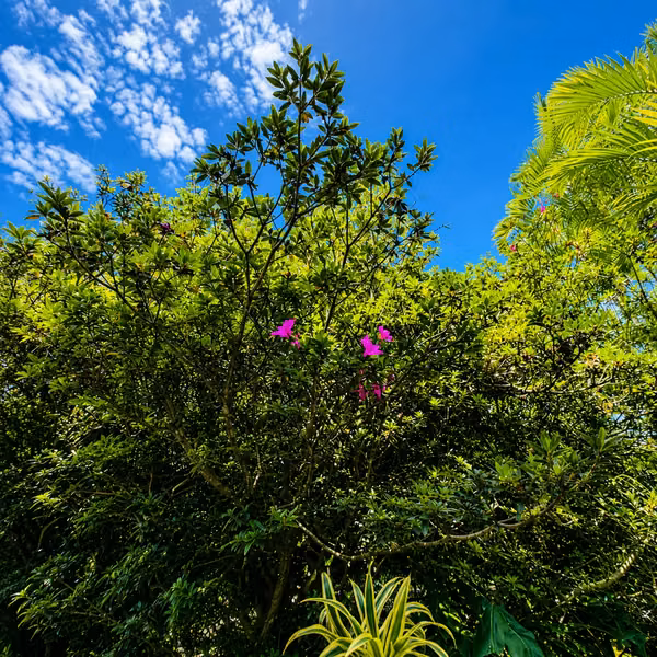 Se vende finca de 5,3 hectáreas en El Guarco, Cartago | Cabaña, rancho y vistas a la montaña