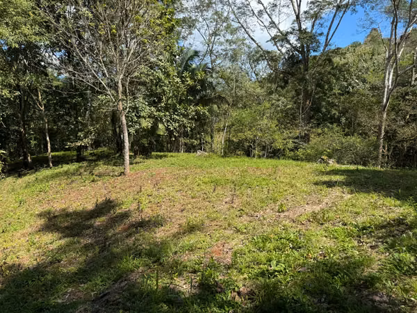 2.4ha con cascada y casita (3306)