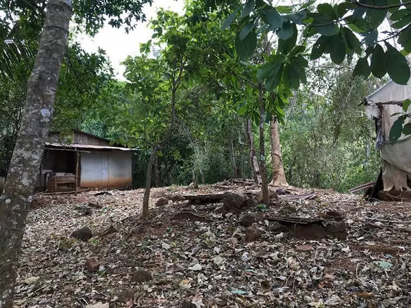 2.4ha con cascada y casita (3306)