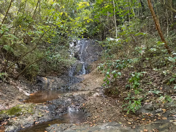 2.4ha con cascada y casita (3306)