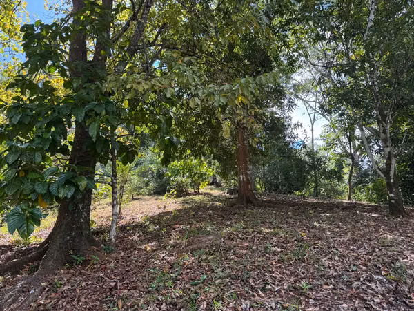 2.4ha con cascada y casita (3306)