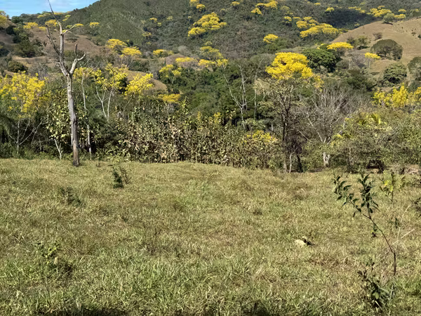 7,5 ha con Río y Cascada en la Península de Nicoya (3440)