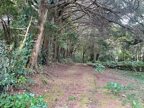 Lote plano en Residencial del Monte Tirol - 3 pajas de agua