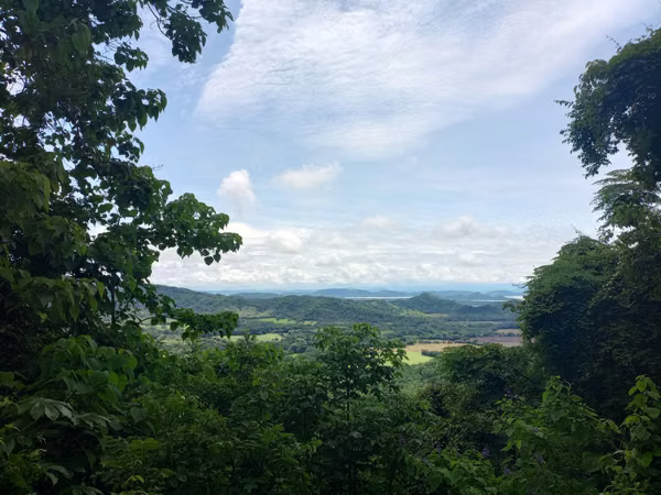 19ha con Selva tropical y Vistas al Golfo de Nicoya (2254)