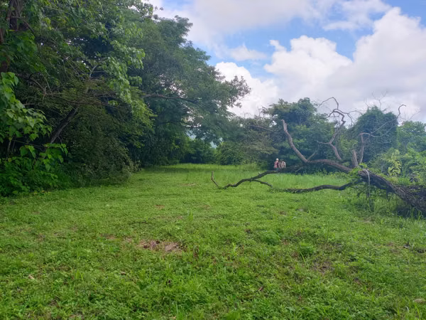 19ha con Selva tropical y Vistas al Golfo de Nicoya (2254)