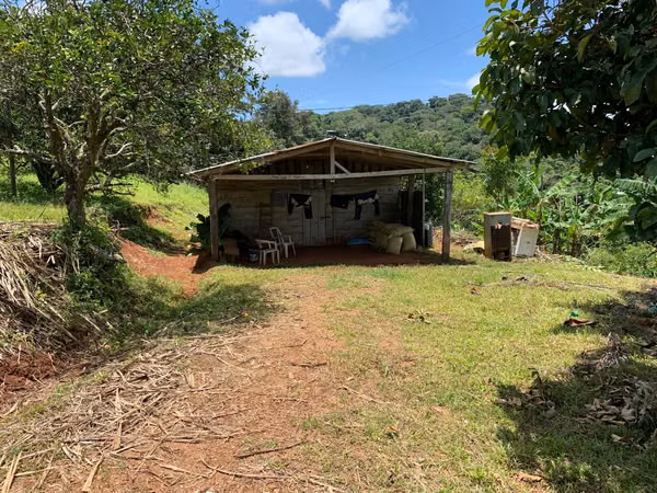3ha con plantación de naranjas en la península de Nicoya (3414)