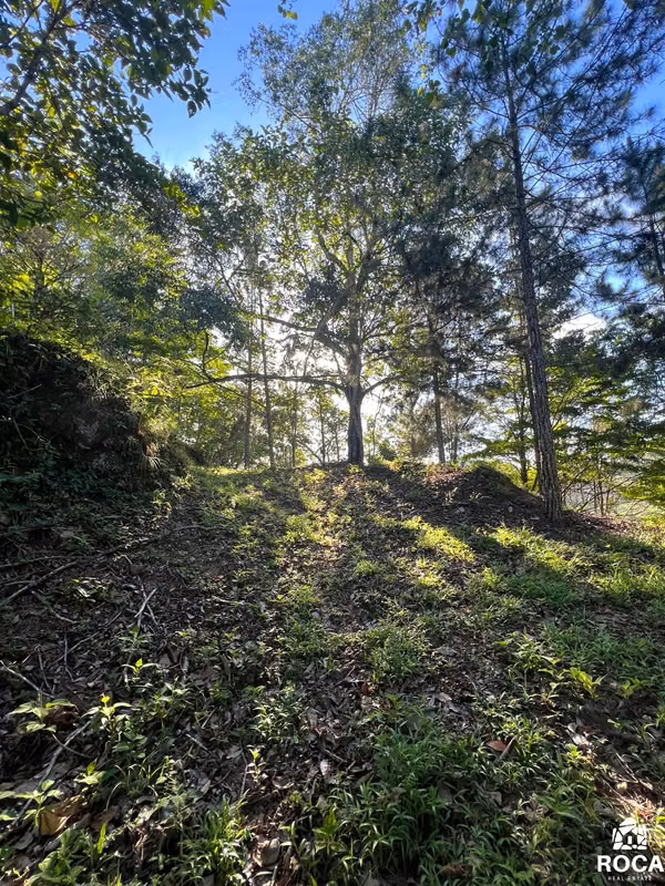 Venta de linda finca en San Vito de Coto Brus