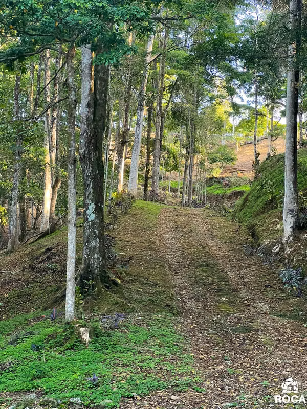 Venta de linda finca en San Vito de Coto Brus