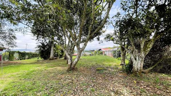 LAND FOR SALE IN SAN ISIDRO, SAN RAMÓN