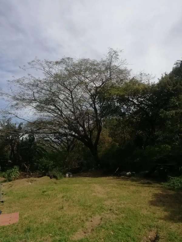 Beautiful Lot in Santa Ana for Developers