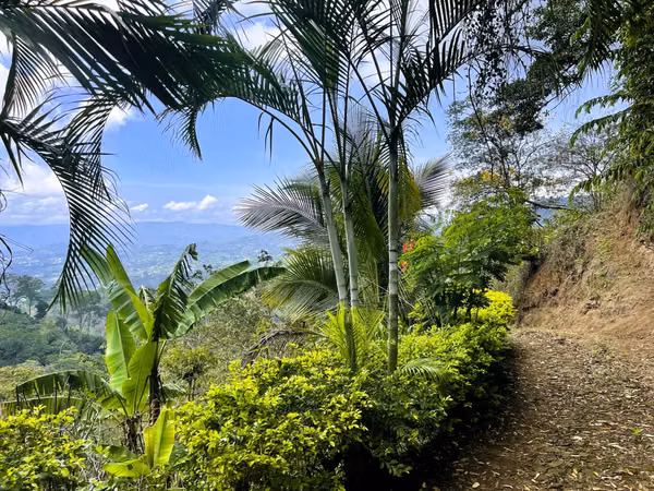 TERRENO EN VENTA EN ATENAS, ALAJUELA