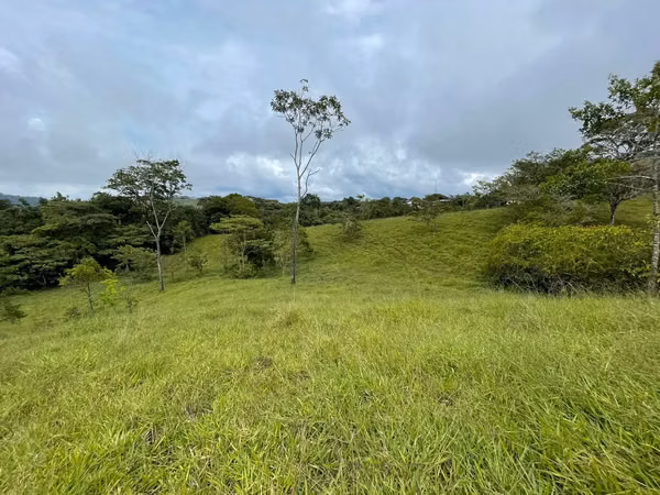 En venta: Finca para desarrollo en Puriscal