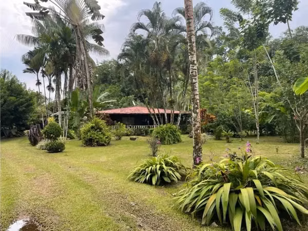 Caribbean Paradise, Guácimo, Limón