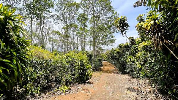 LAND FOR SALE IN SAN ISIDRO, SAN RAMON