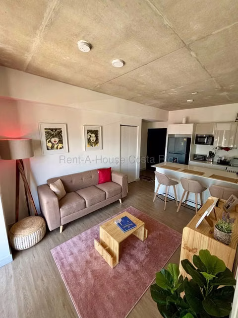 Apartment for Rent in Barrio Escalante. 26-1708