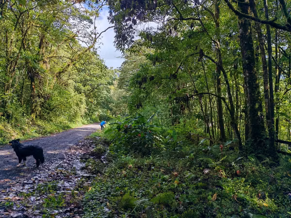Quintas en Bajos del Toro, frente Parque Nacional, Alajuela