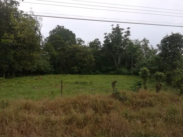 Property at Roxana, Pococí, Limón