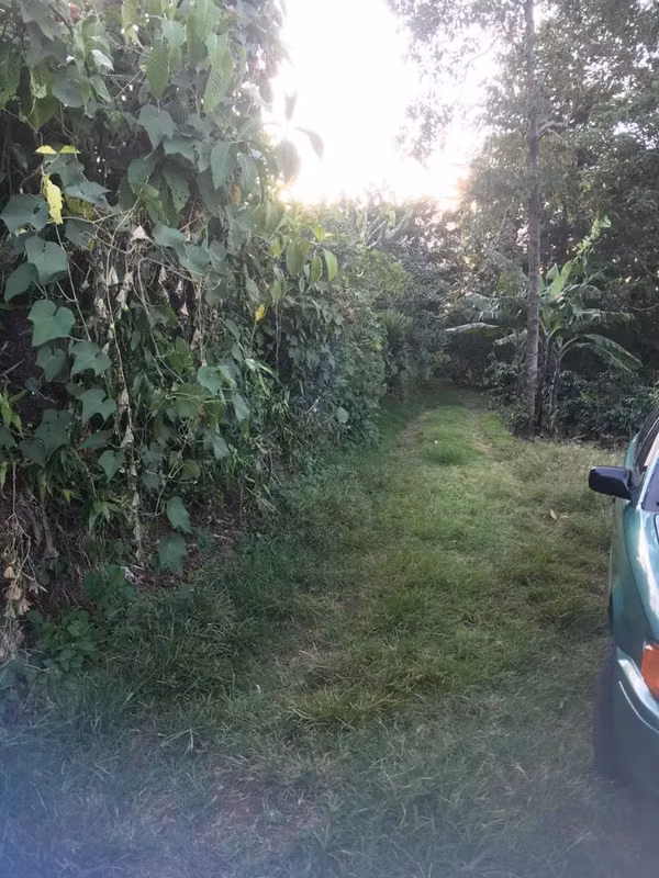 Great value land all with fruit tres Corn coffe and wi dd