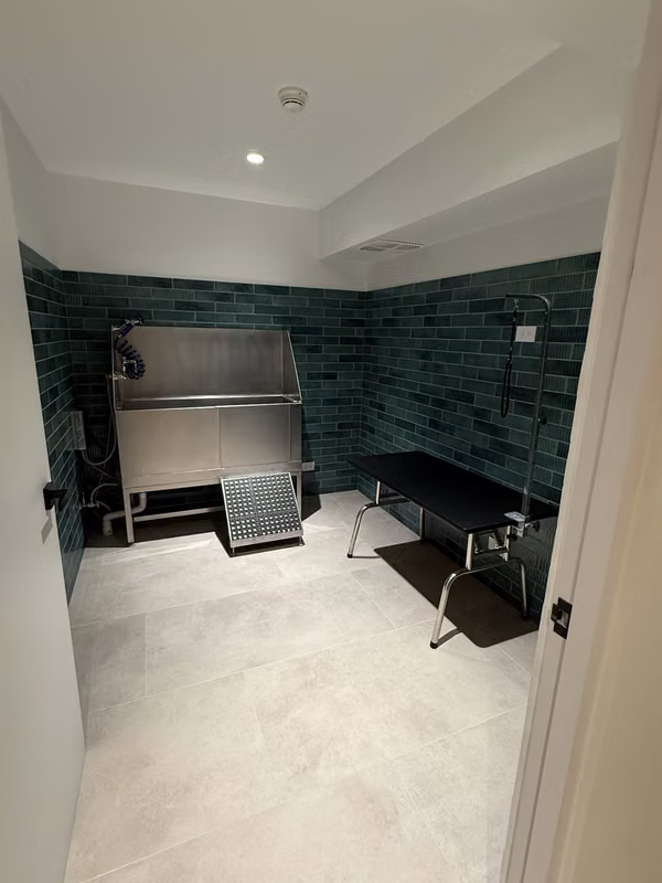 Alquiler de apartamento NUEVO a estrenar en PARKWOOD - Sabana