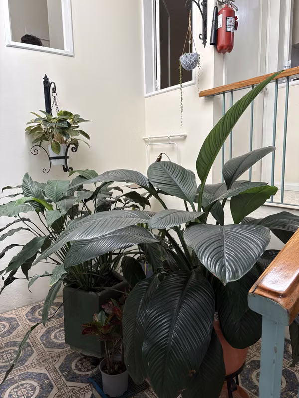 ALQUILER DE CASA MUY AMPLIA EN YOSES SUR $2000