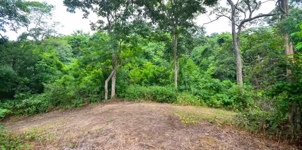 Large lot with privacy and ocean views