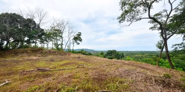 Large lot with privacy and ocean views