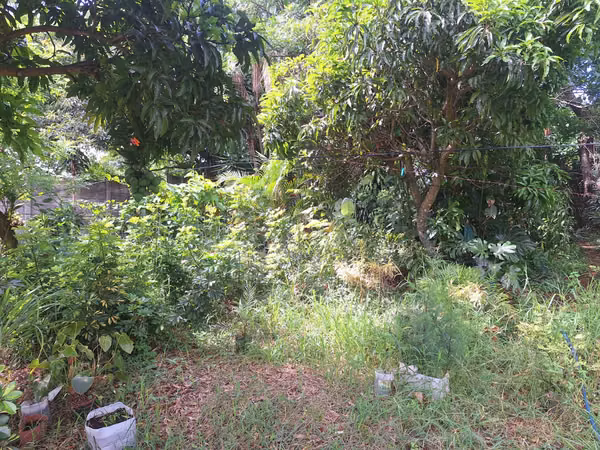Lote mixto 3.000 m² en Tirrases