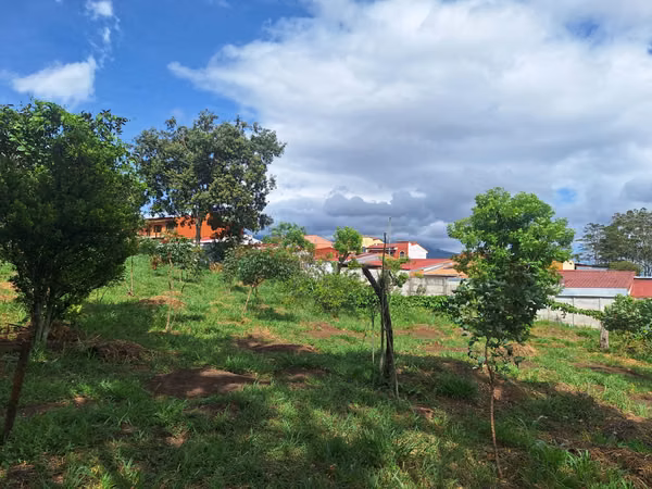 Lote mixto 3.000 m² en Tirrases
