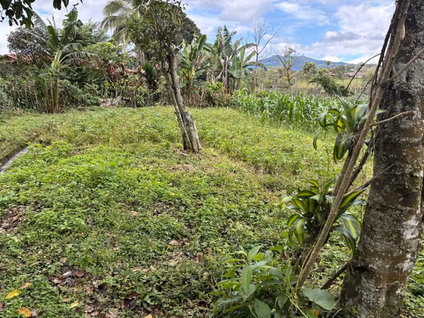 Lote de 2,550 m² con Vistas Panorámicas | Sarchí, Alajuela