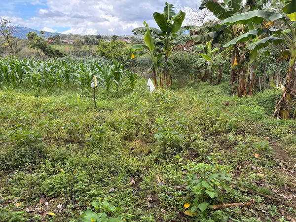 Lote de 2,550 m² con Vistas Panorámicas | Sarchí, Alajuela
