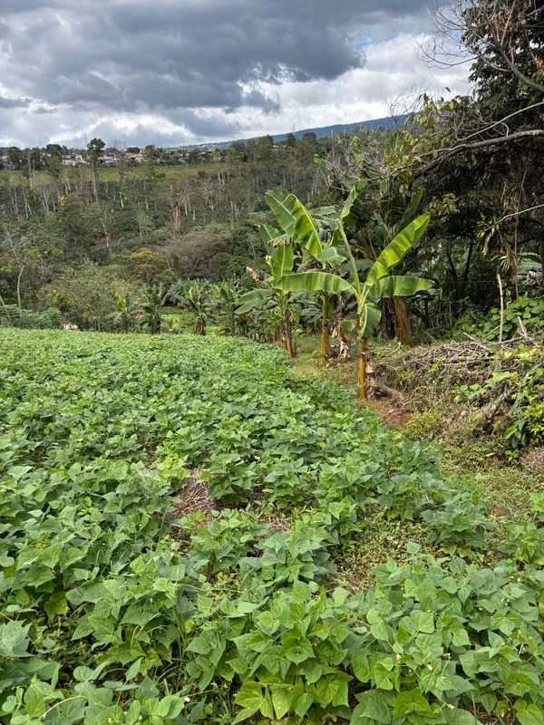 Lote de 2,550 m² con Vistas Panorámicas | Sarchí, Alajuela