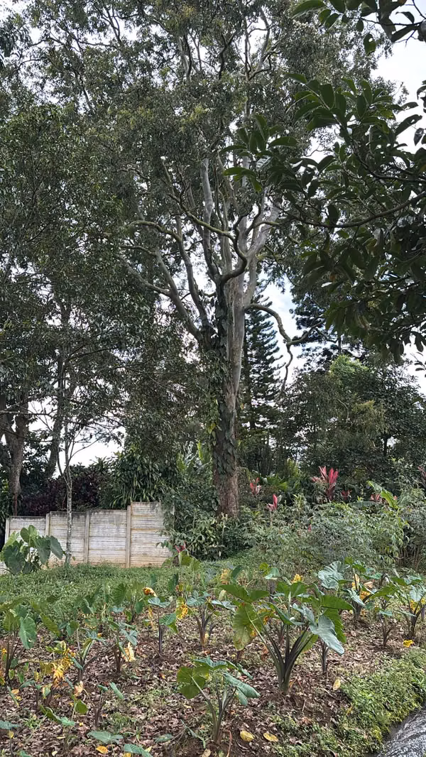 Lote de 2,550 m² con Vistas Panorámicas | Sarchí, Alajuela