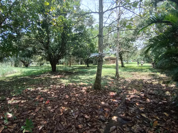 TERRENO EN OROTINA EN VENTA.  GRAN OPORTUNIDAD!!!
