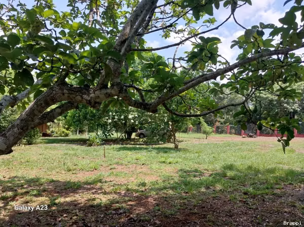 TERRENO EN OROTINA EN VENTA.  GRAN OPORTUNIDAD!!!