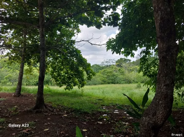 TERRENO EN OROTINA EN VENTA.  GRAN OPORTUNIDAD!!!