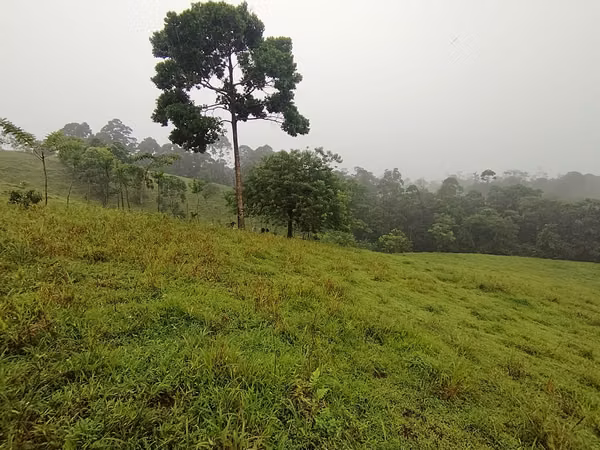 Finca ganadera