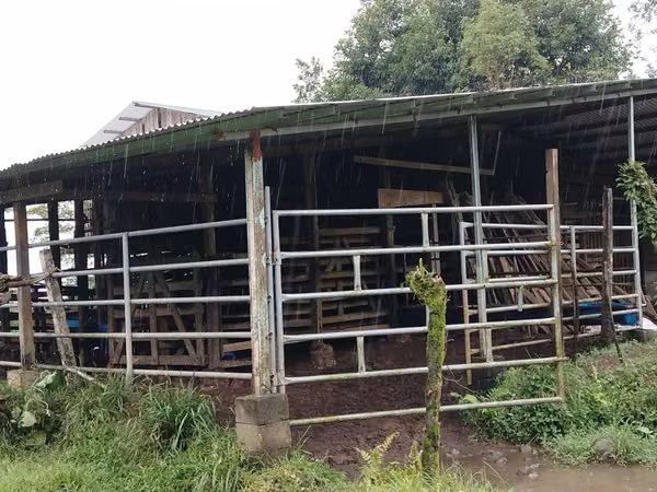 Finca ganadera