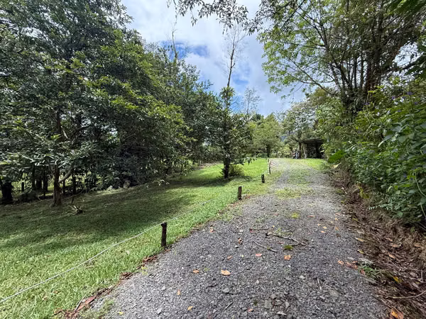 Finca con Cabaña Nueva en Bajos del Toro – Terreno de 2.000 m²