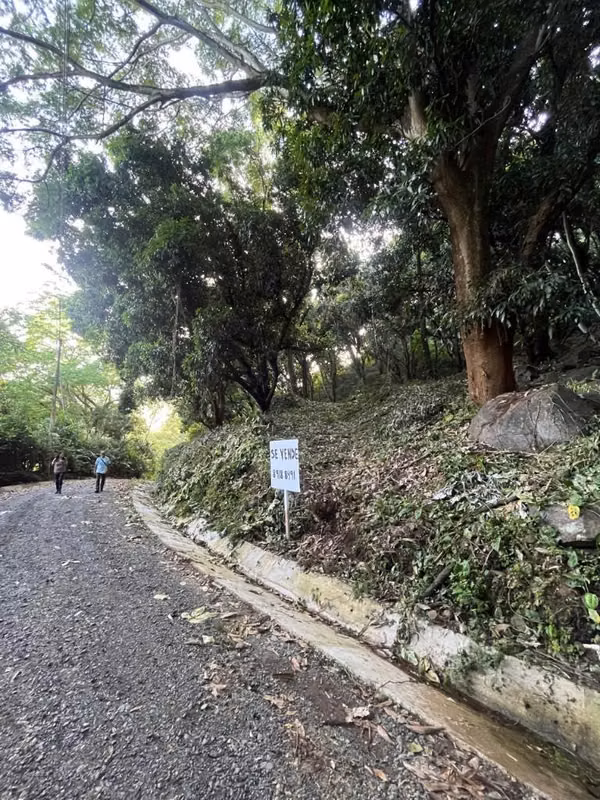 Turrubares, San Pablo, Bolsón 23 millones