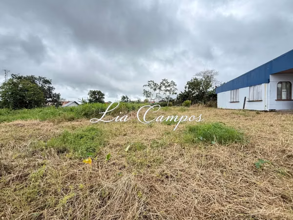 LOTE EN VENTA EN EL CENTRO DE FLORENCIA, SAN CARLOS | USO MIXTO Y RESIDENCIAL
