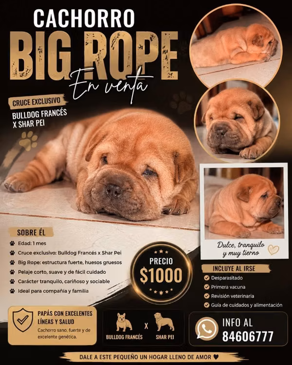 Big Rope