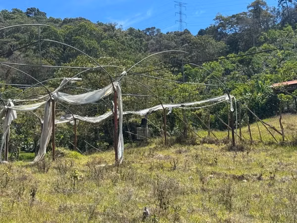 Estructura de Invernadero