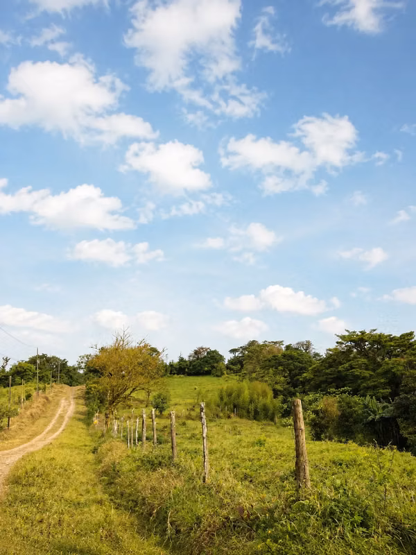 Spacious farm in Parcelas de Zapotal, San Ramón, Alajuela